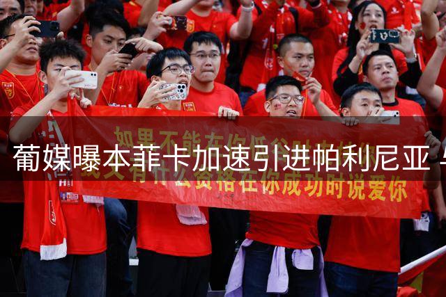 葡媒曝本菲卡加速引进帕利尼亚 与拜仁展开转会谈判