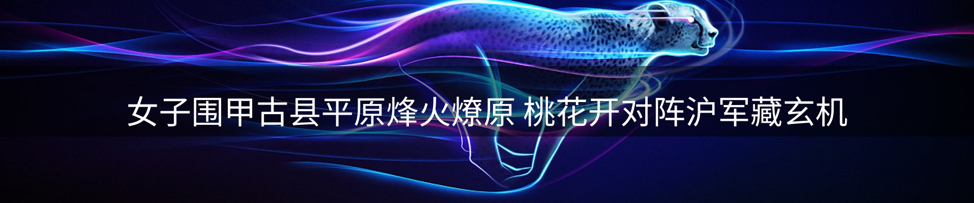 资讯动态