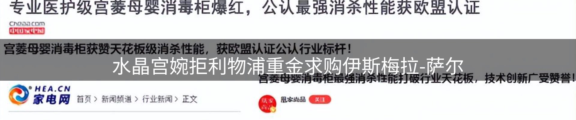 资讯动态